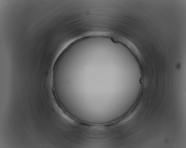 X0000096700844200802051059