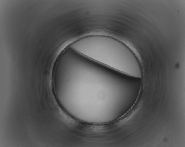 X0000096700845200802051059