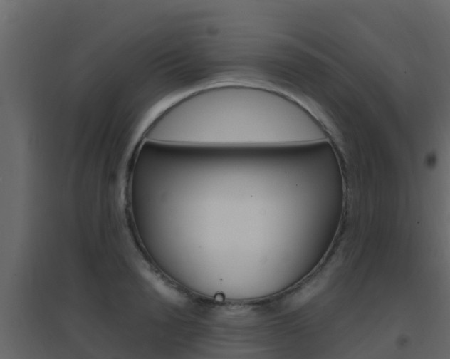 X0000096700846200802051059