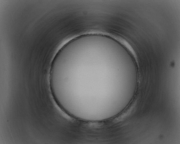 X0000096700847200802051059
