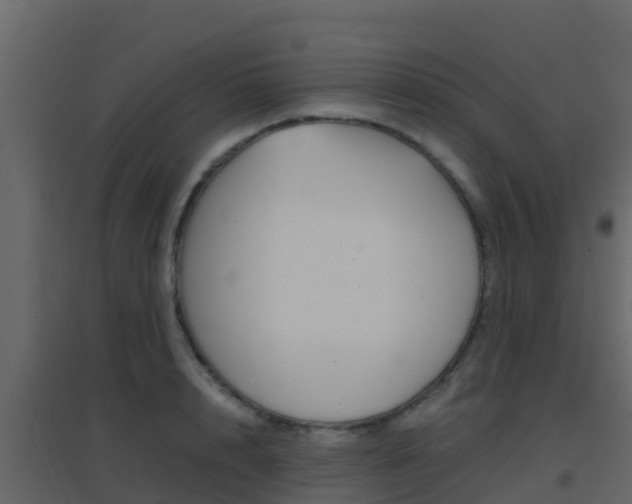 X0000096700848200802051059