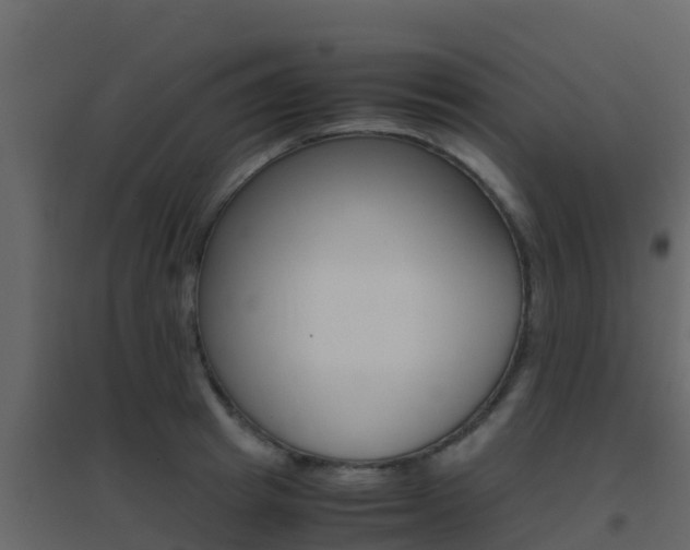 X0000096700849200802051059