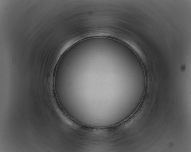 X0000096700850200802051059