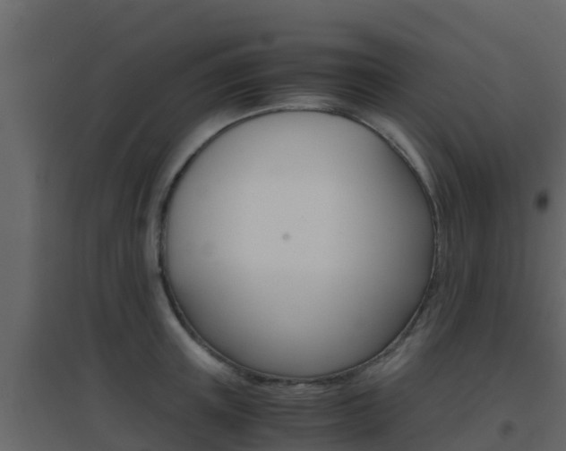 X0000096700851200802051059