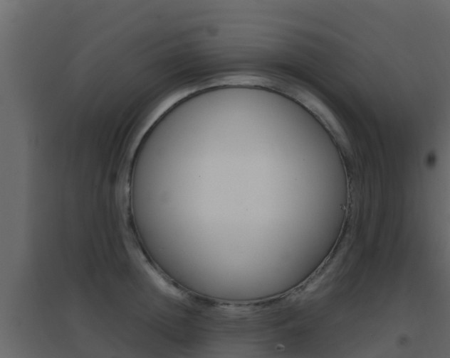 X0000096700852200802051059