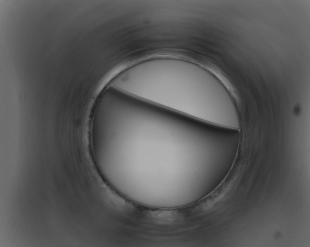 X0000096700853200802051059