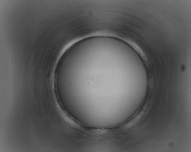 X0000096700854200802051059