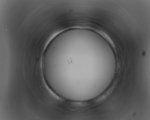 X0000096700855200802051059