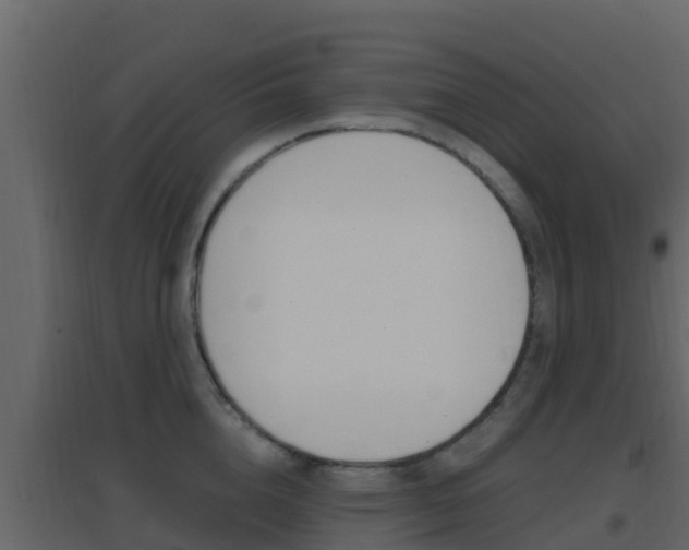 X0000096700856200802051059