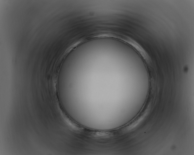 X0000096700857200802051059