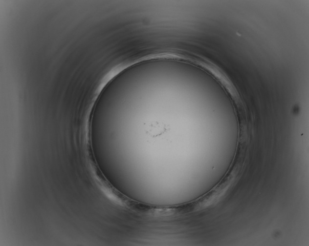 X0000096700858200802051059