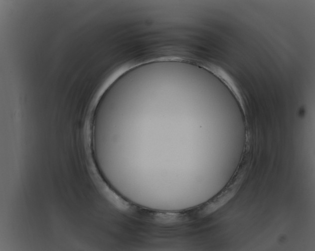 X0000096700859200802051100
