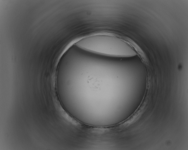 X0000096700860200802051100