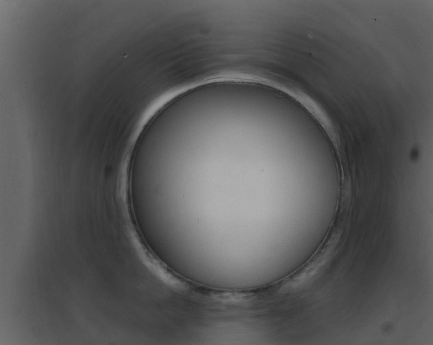 X0000096700862200802051100