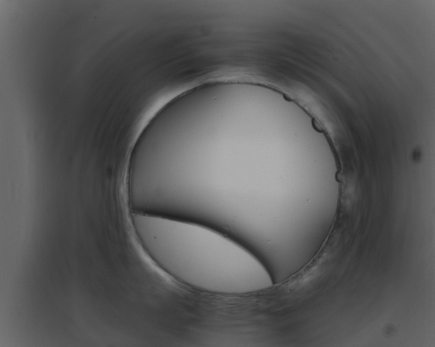 X0000096700863200802051100