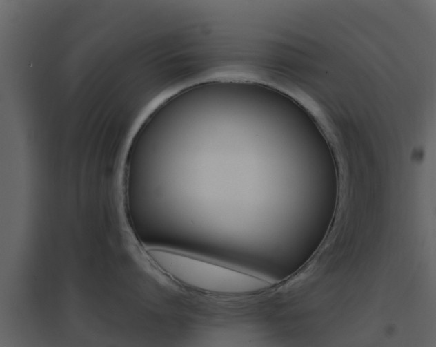 X0000096700864200802051100