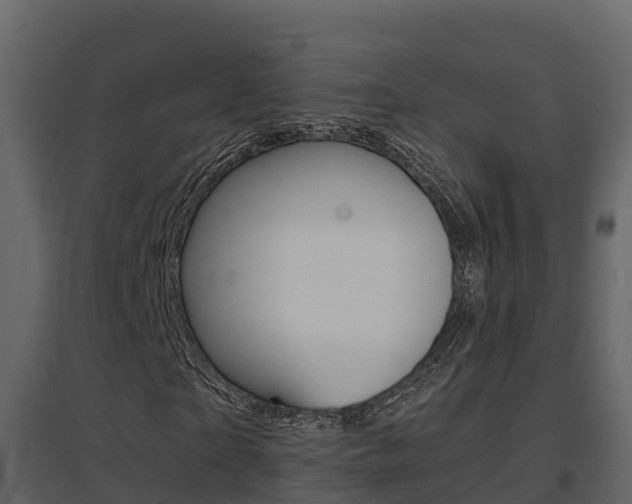 X0000096700865200802051059