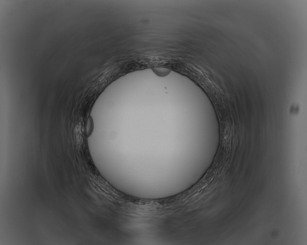 X0000096700866200802051059
