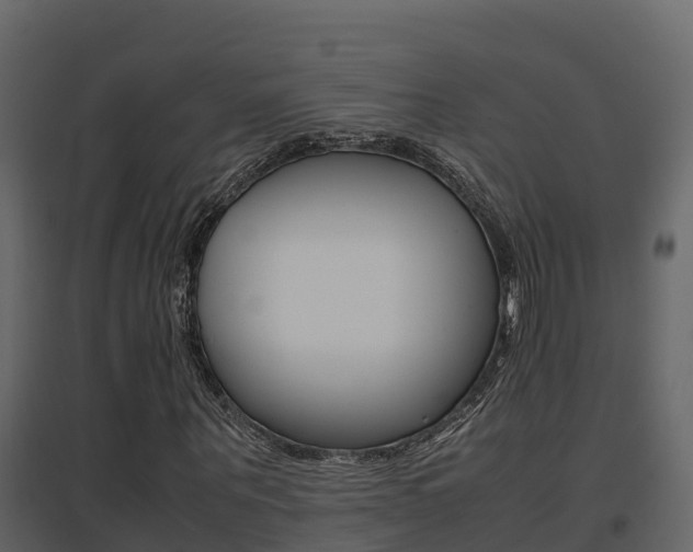 X0000096700867200802051059
