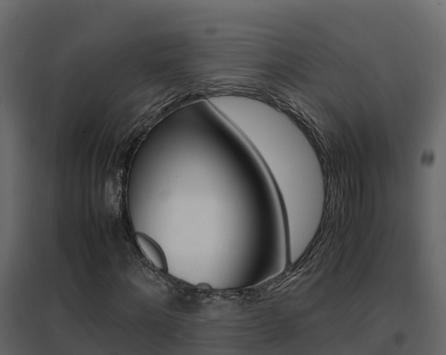 X0000096700868200802051059