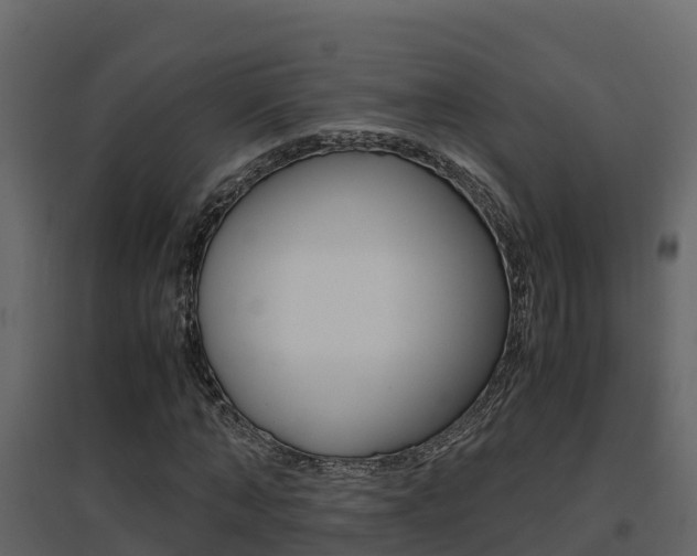 X0000096700870200802051059
