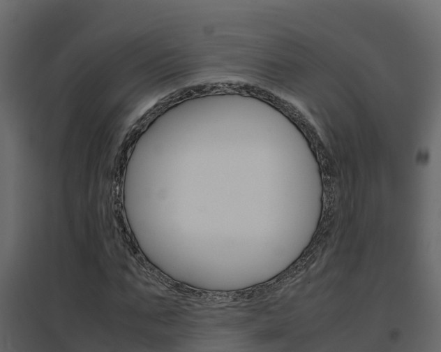 X0000096700871200802051059