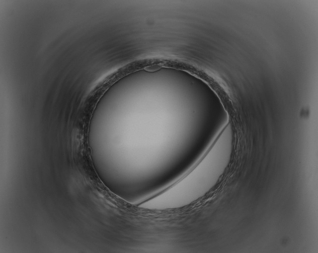X0000096700872200802051059