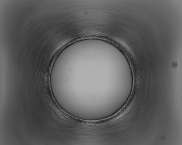 X0000096700873200802051059