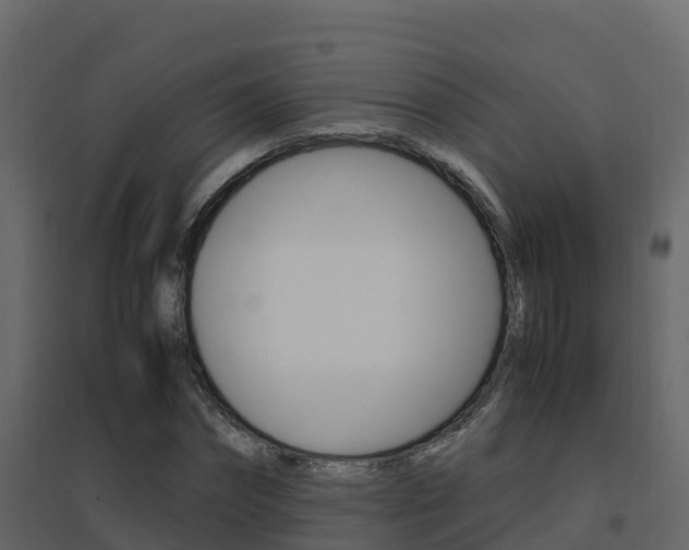 X0000096700874200802051059
