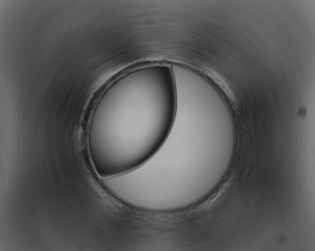 X0000096700876200802051058