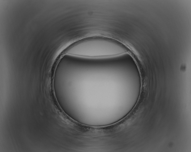 X0000096700877200802051058