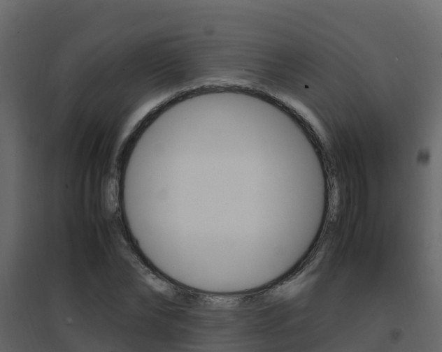 X0000096700878200802051058
