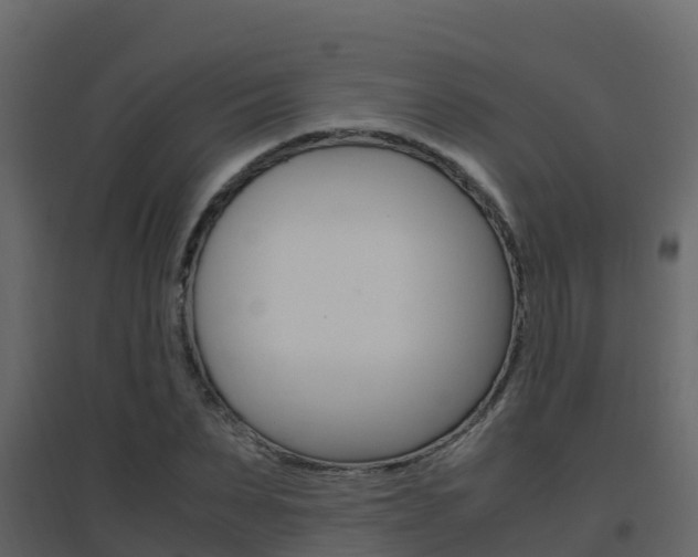 X0000096700879200802051058
