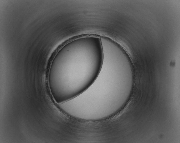 X0000096700880200802051058