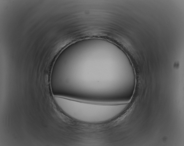 X0000096700881200802051058