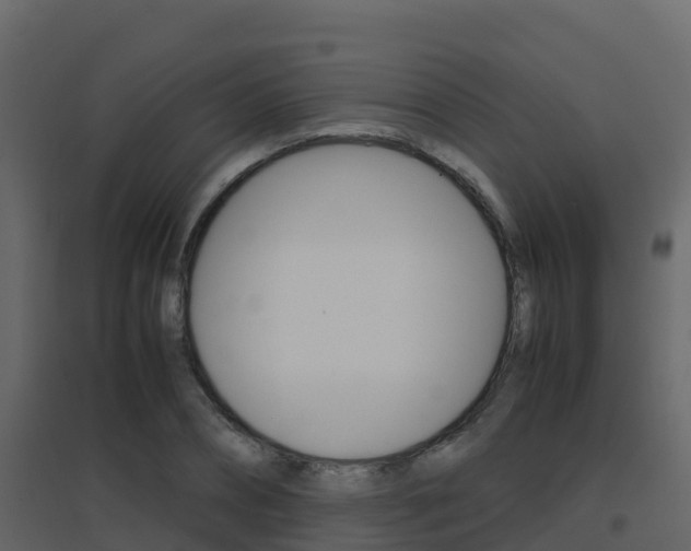X0000096700882200802051058