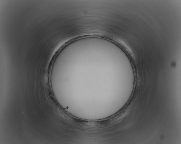 X0000096700883200802051058