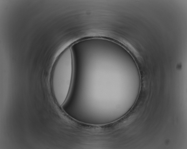 X0000096700885200802051058