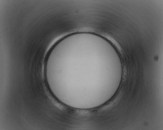 X0000096700886200802051058