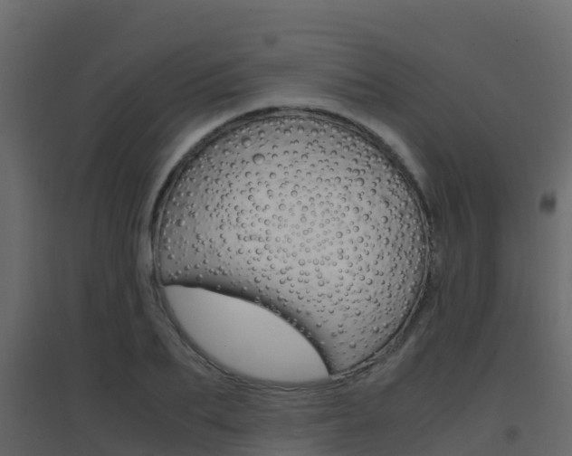 X0000096700887200802051058