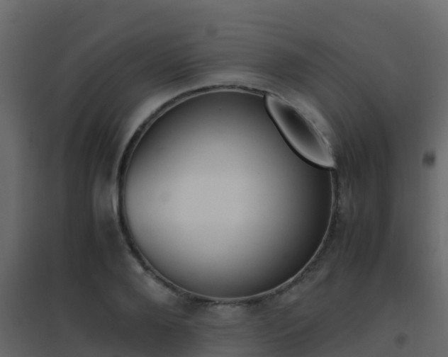 X0000096700888200802051058