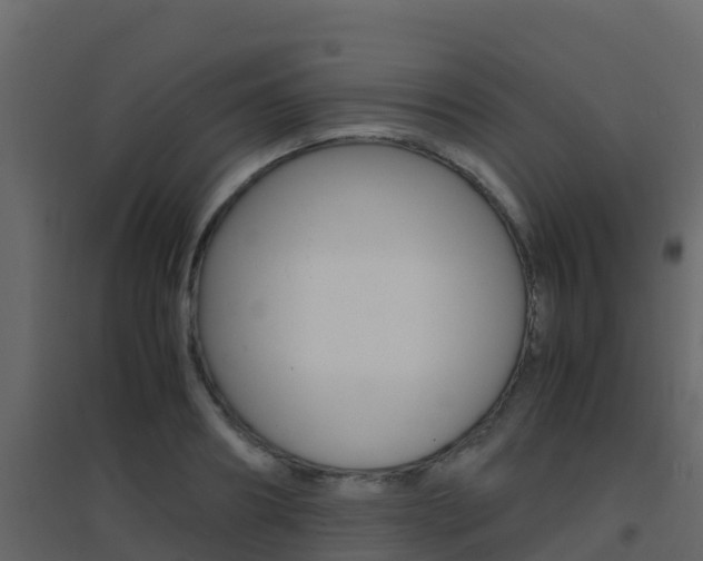 X0000096700890200802051058
