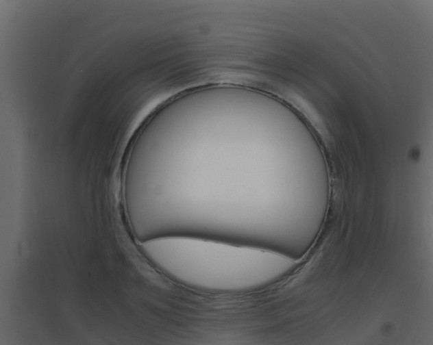 X0000096700891200802051058