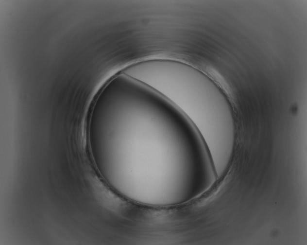 X0000096700892200802051058