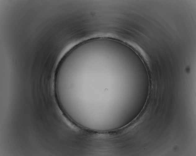X0000096700894200802051058