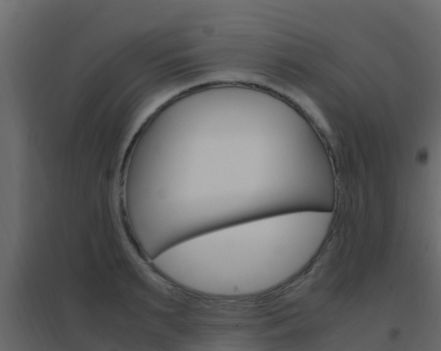 X0000096700895200802051058