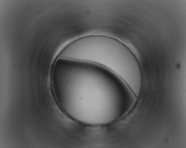 X0000096700896200802051058