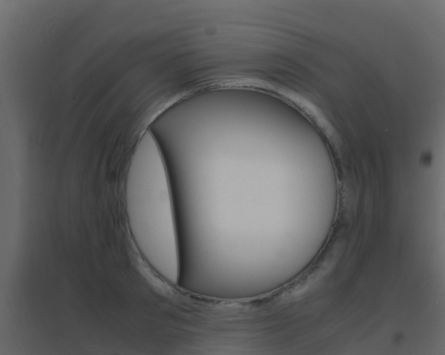 X0000096700897200802051058