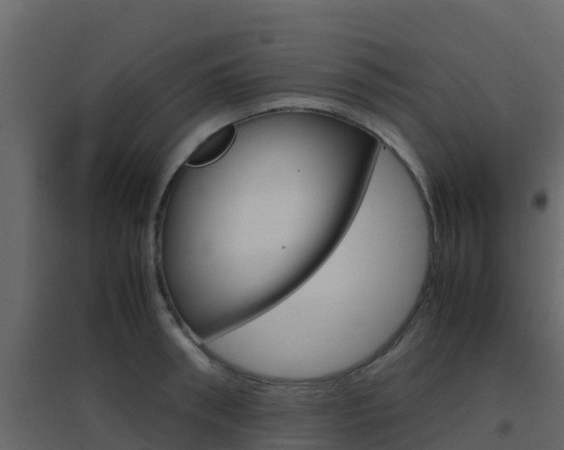 X0000096700898200802051058