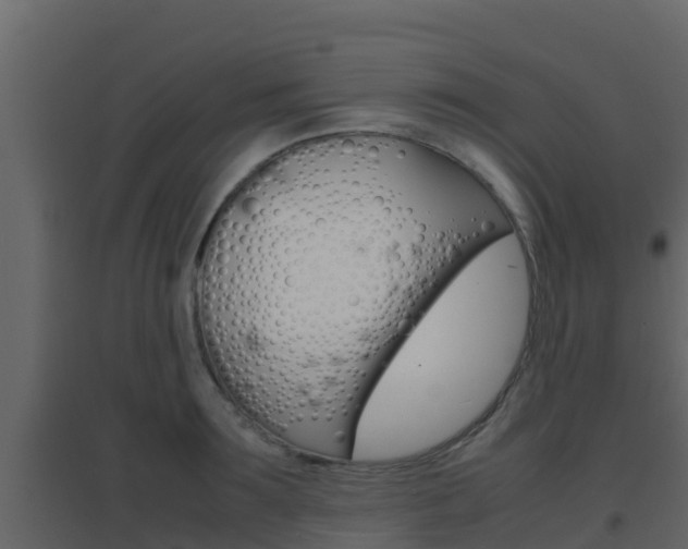 X0000096700899200802051058